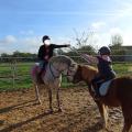 Cours equitation