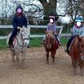 Cours poney